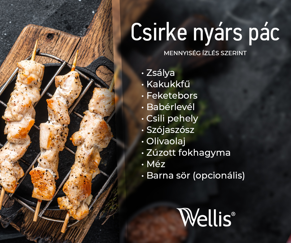 Finom falatok Wellis grillen 2 csirke Recept1